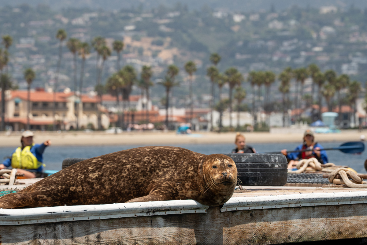 Source: Santa Barbara Adventure Company (EZ Newswire)