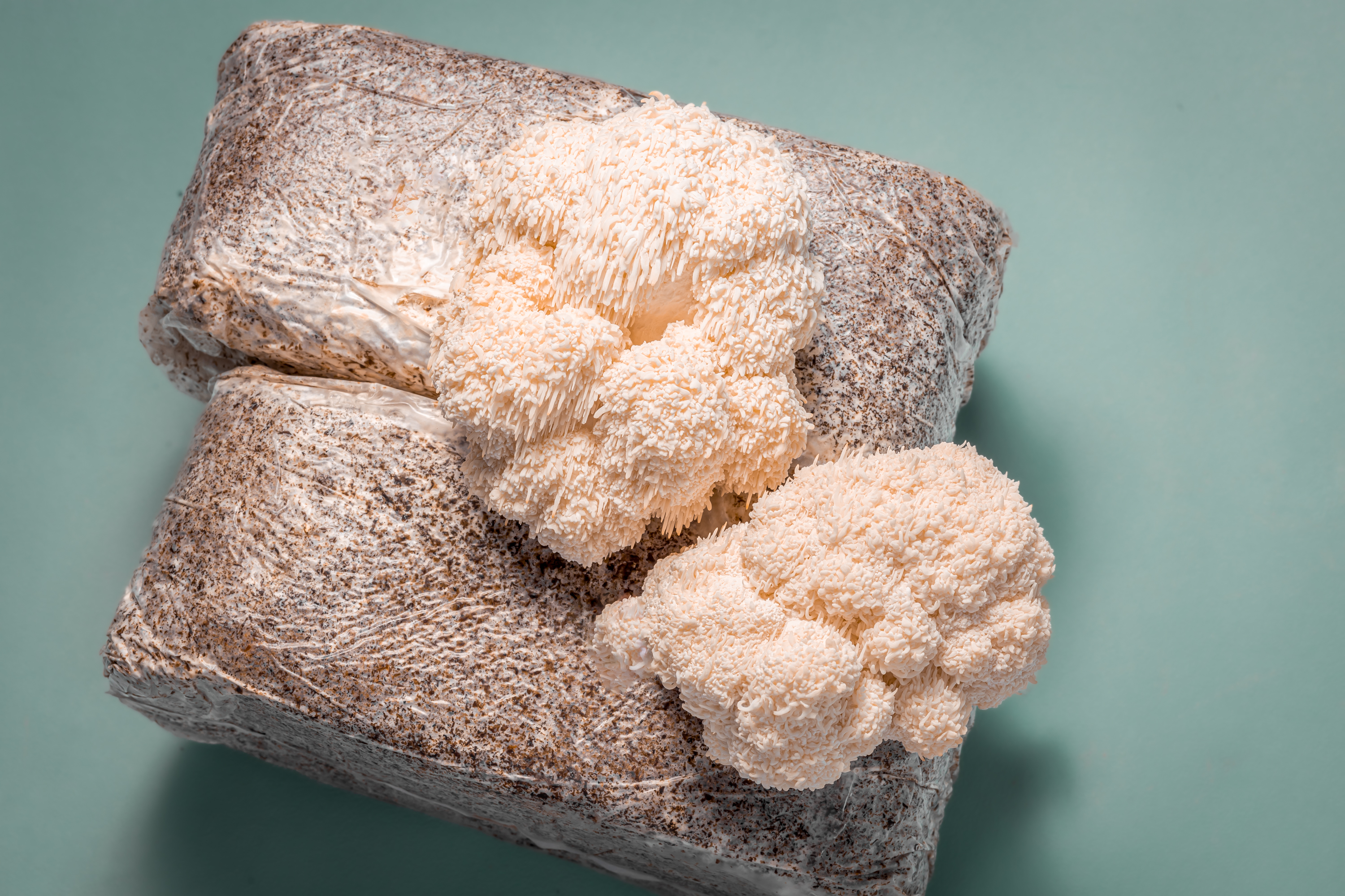 Source: Nutraway Science (EZ Newswire)
