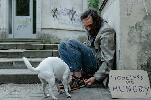 A homeless man sitting on a sidewalk next to a "Homeless and Hungry" sign, interacting with a small white dog in a gritty urban setting