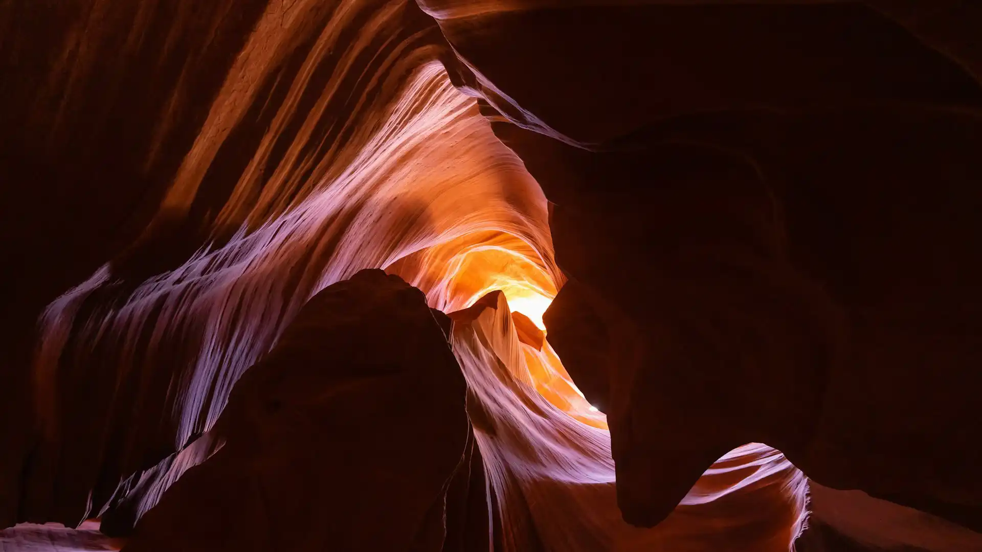 Abstract natural art photography