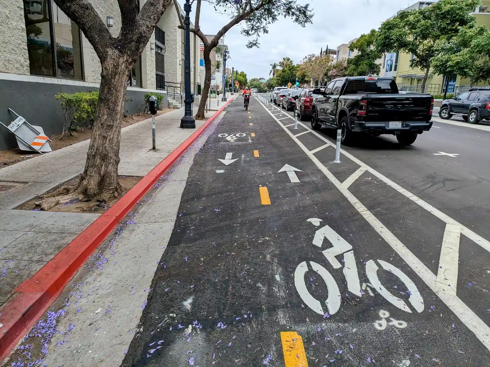 San Diego bicycle lane downtown.
