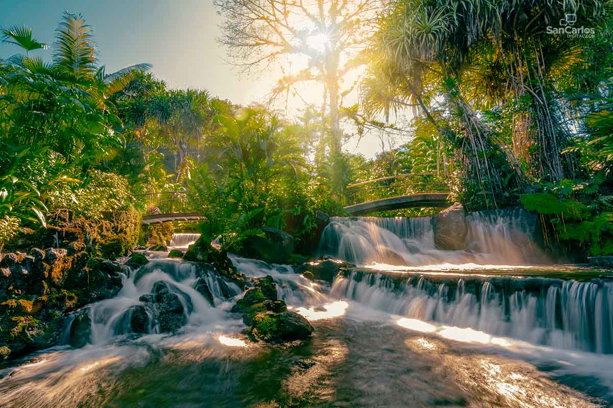 Qué es Termatalia y por qué San Carlos quiere traerla al país