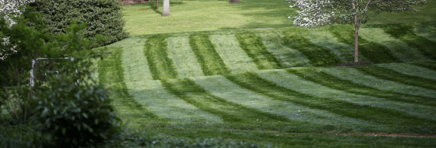 A neatly mowed lawn with a striped pattern