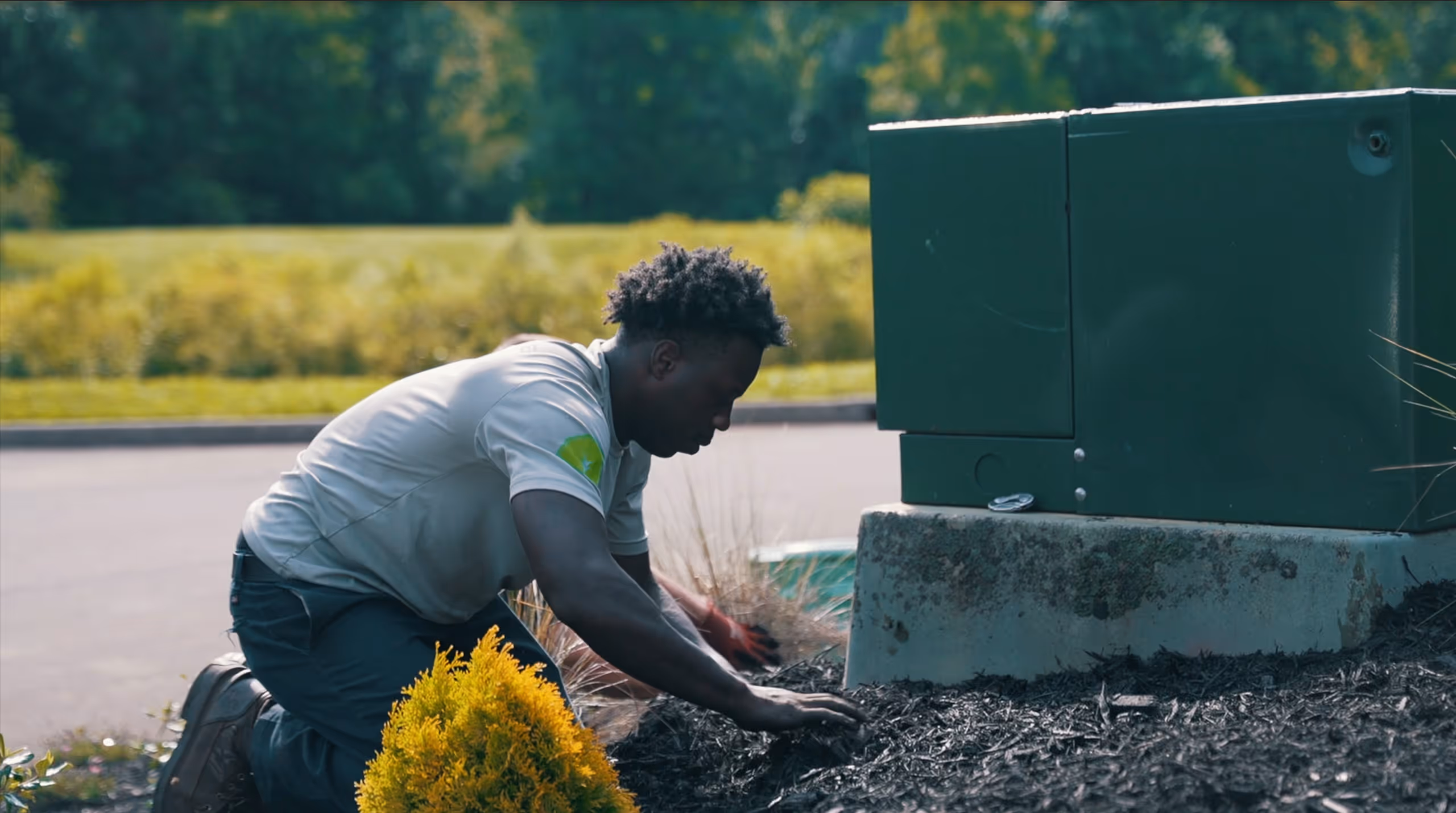 Worker planting and arranging mulch near green utility box