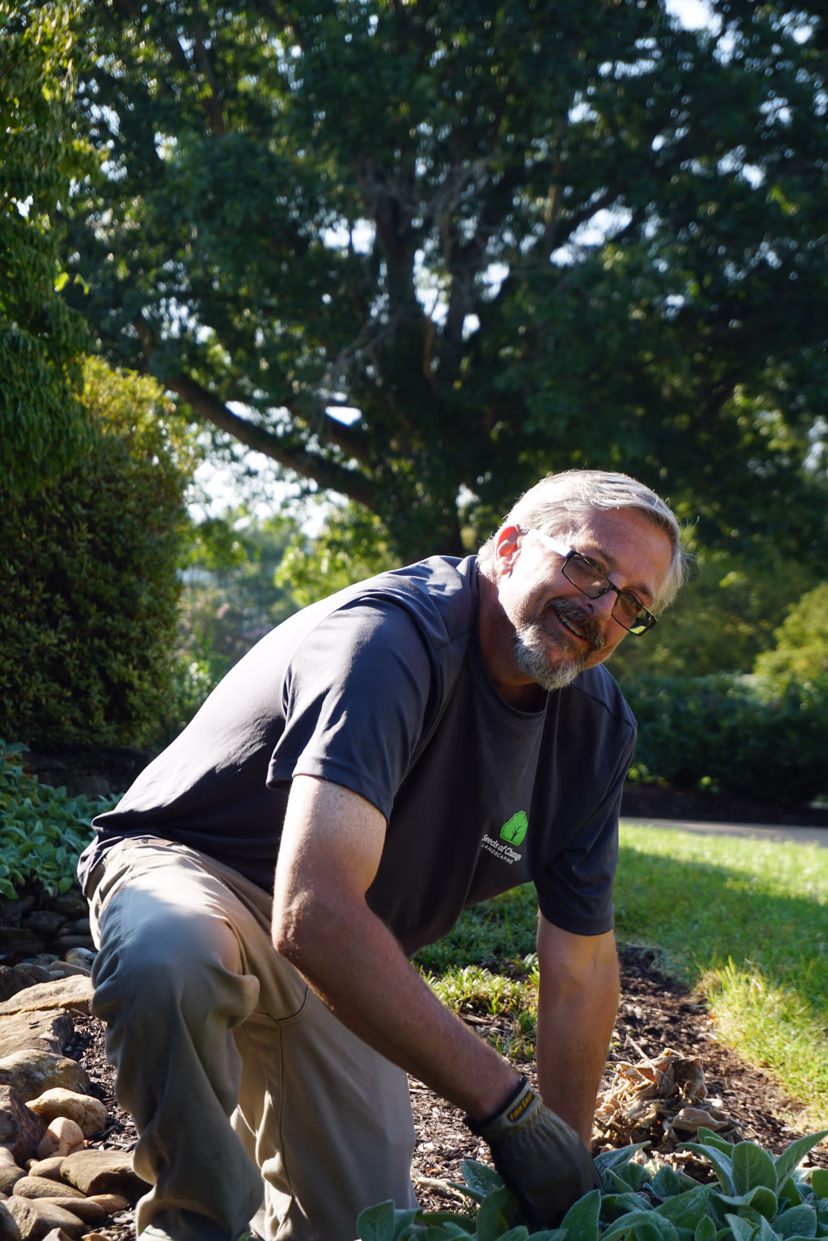 Man gardening outdoors, kneeling and working with green leafy plants