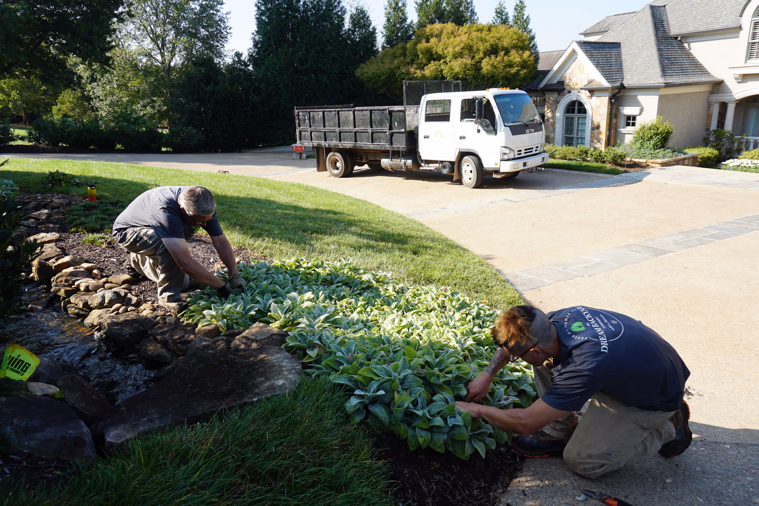 Workers planting greenery in landscaped yard with truck in background