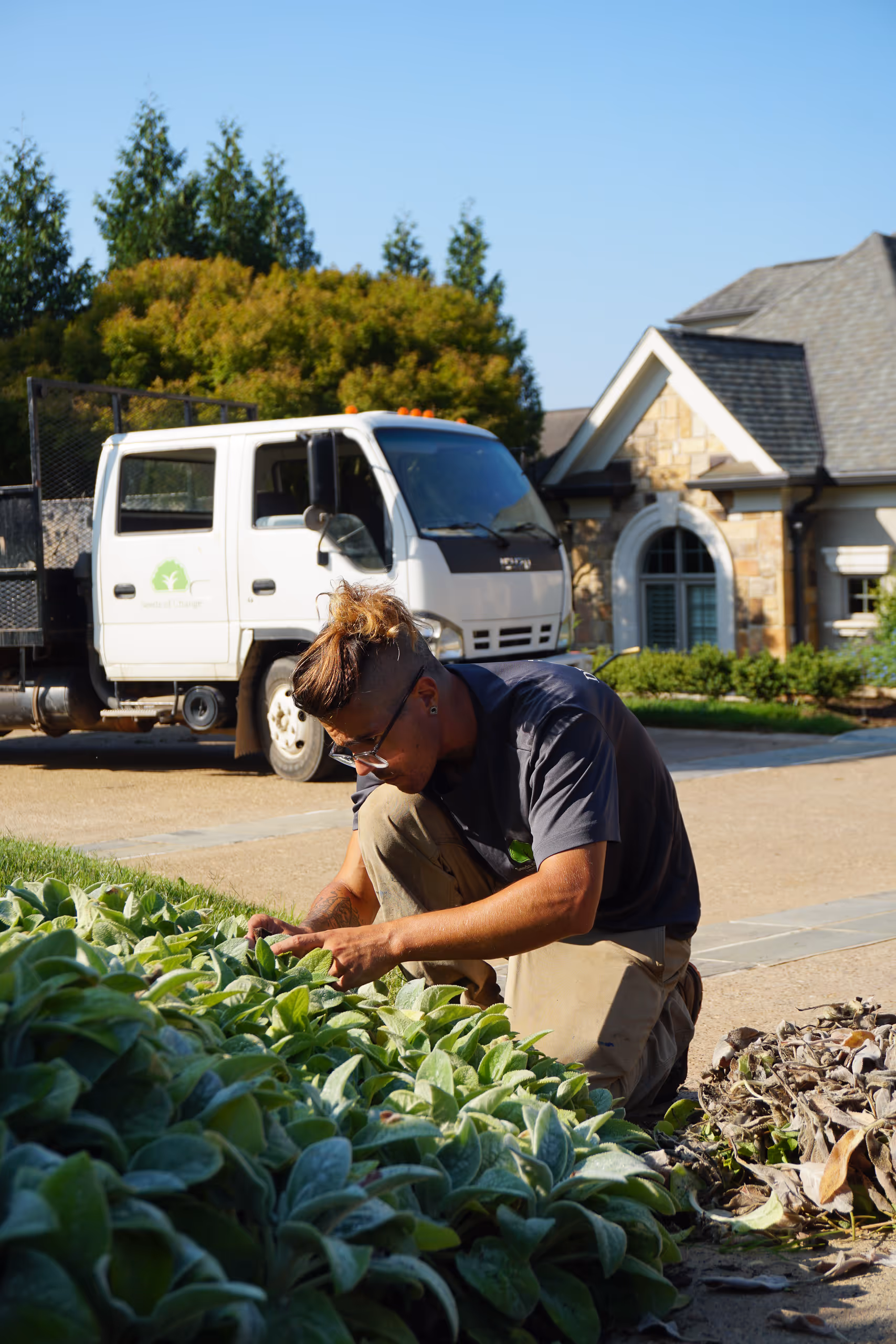 Worker tending to plants in a landscaped garden on sunny day