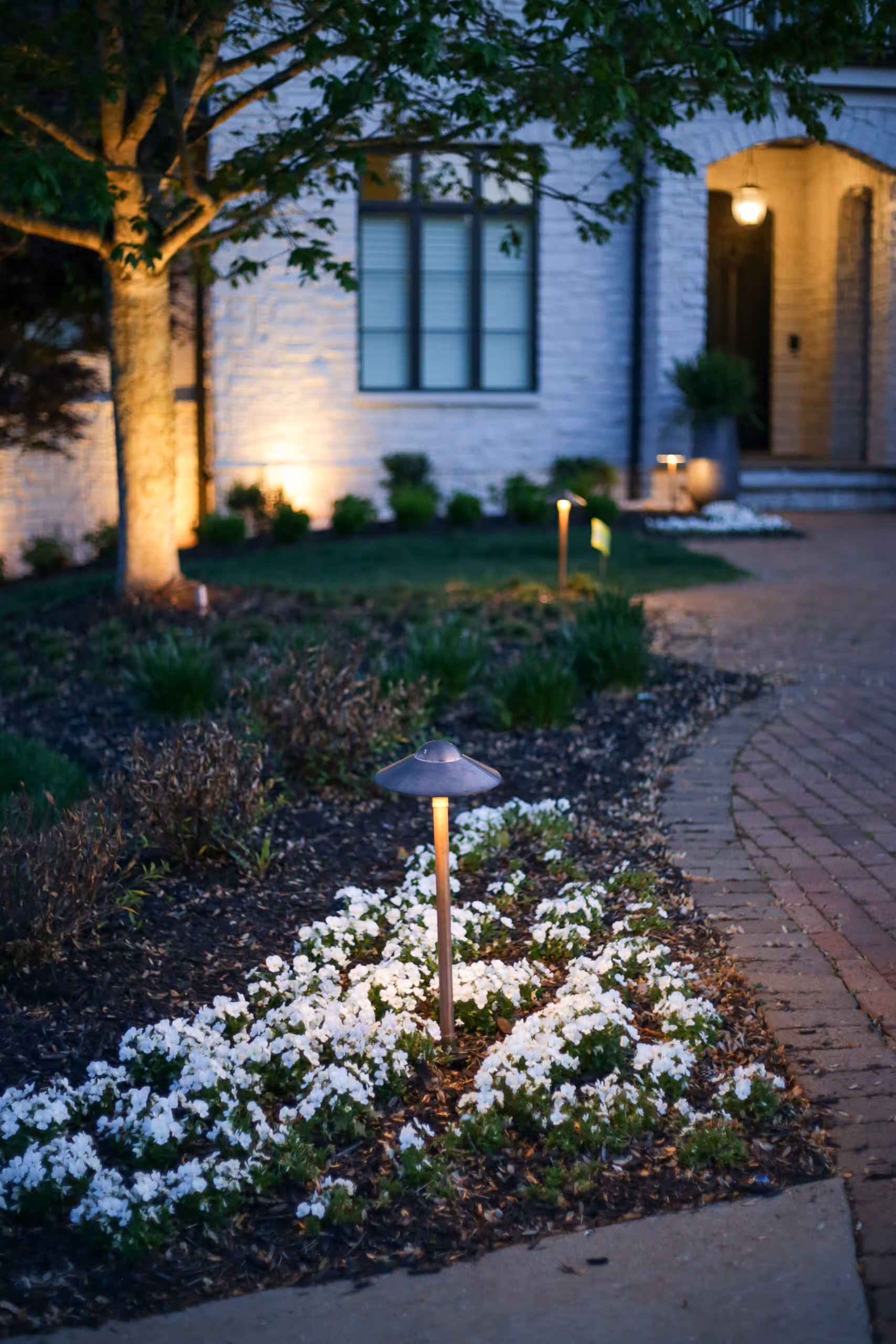 Garden path lit up at night with a lamppost and white flowers