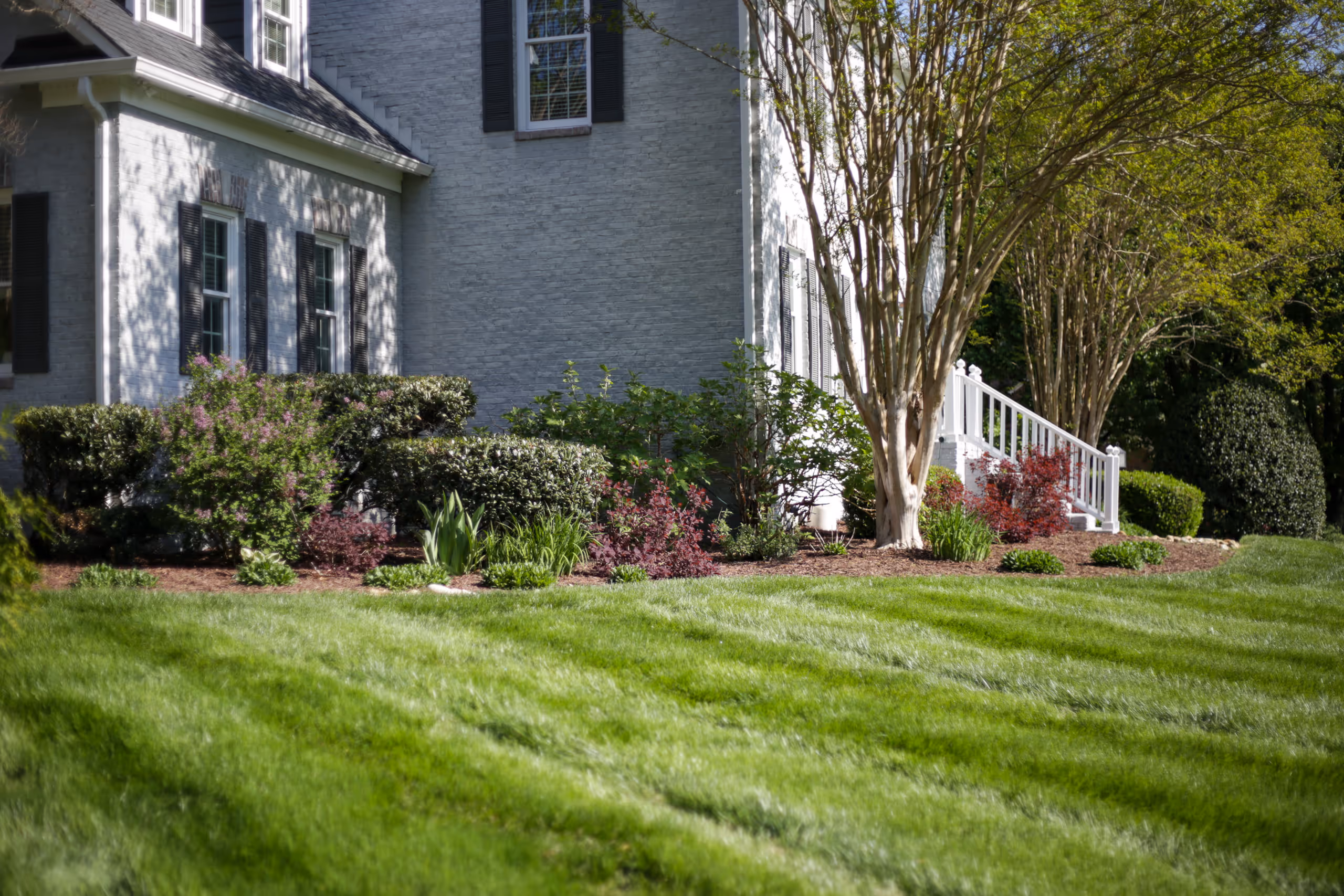A lawn with variety of plants and a house in the background