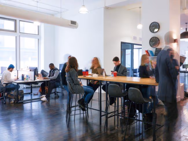 Highline Beta office photo