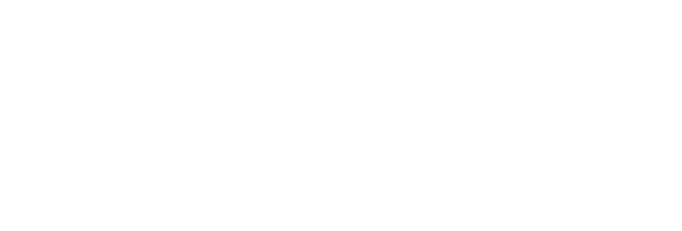 Auditory Processing Institute Logo