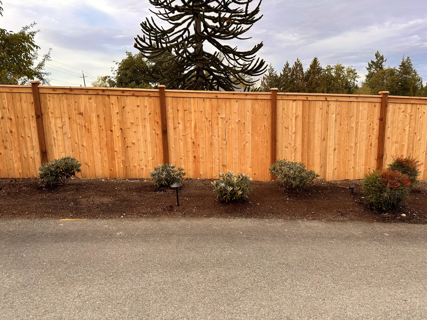 Newly built cedar wood fence adding charm to a residential yard