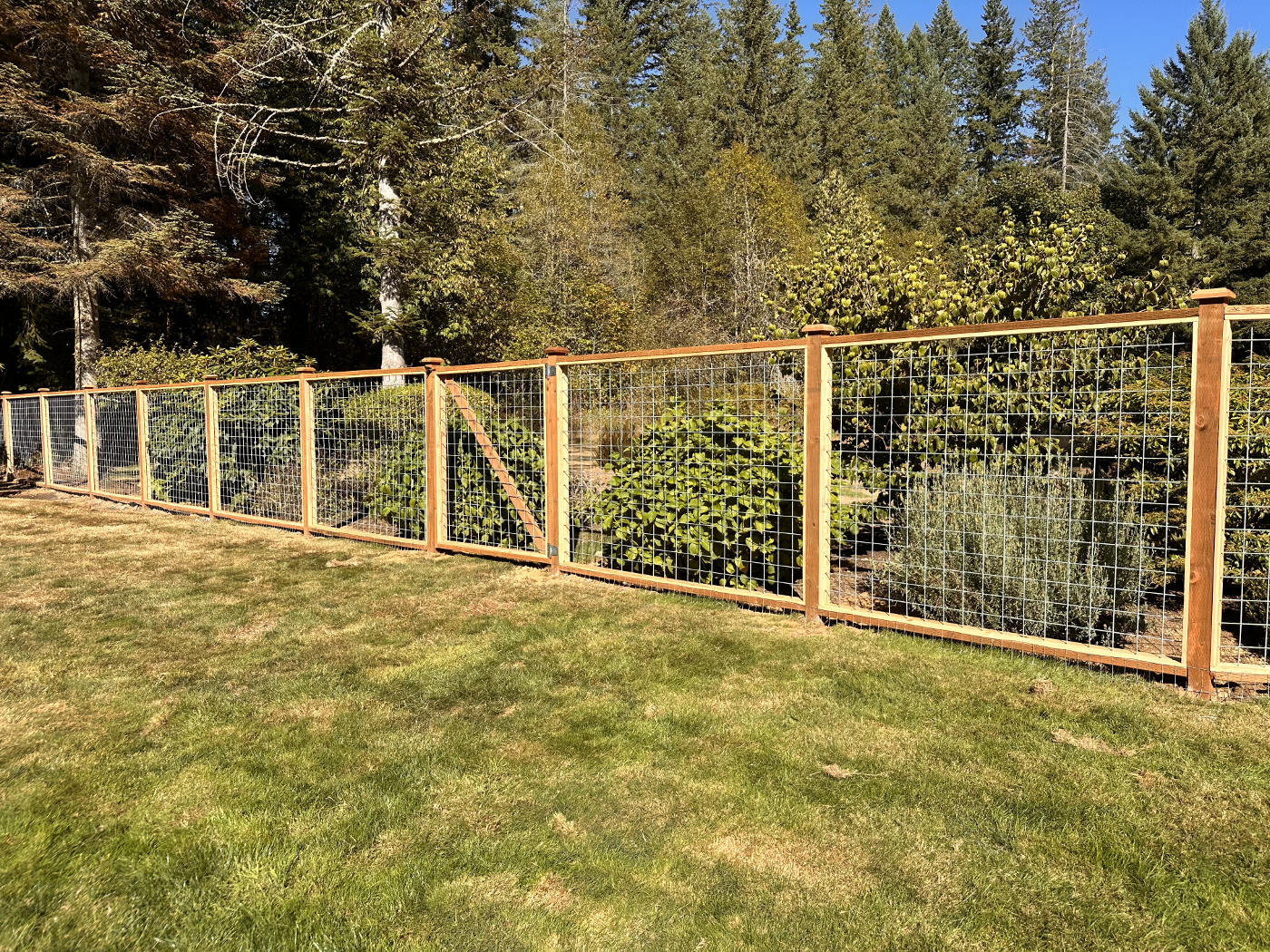 chain link fence