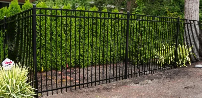 metal iron fence