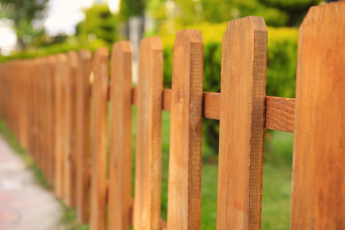 Cedar picket fence framing a tidy garden in a Seattle neighborhood