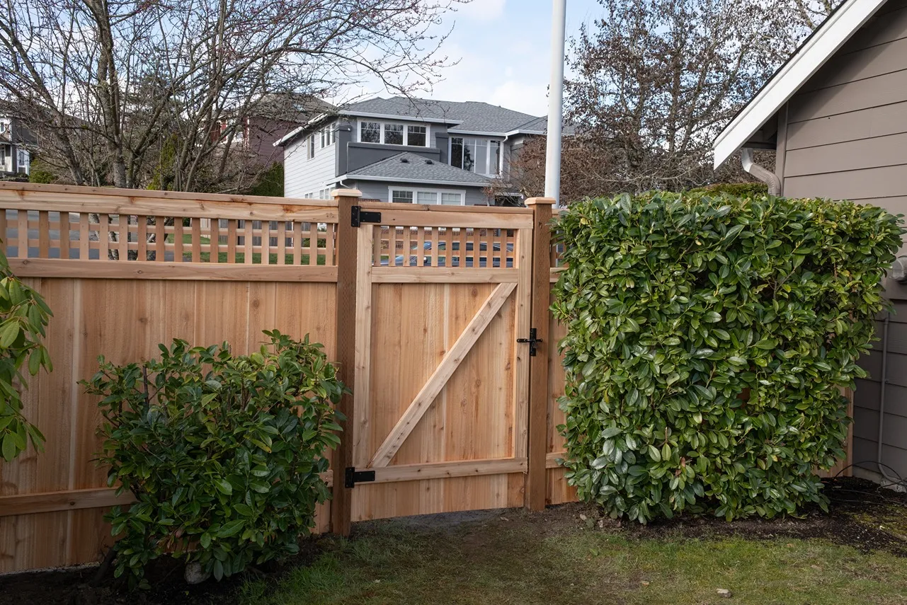 A wooden lattice fence and gate with shrubs in a Seattle backyard