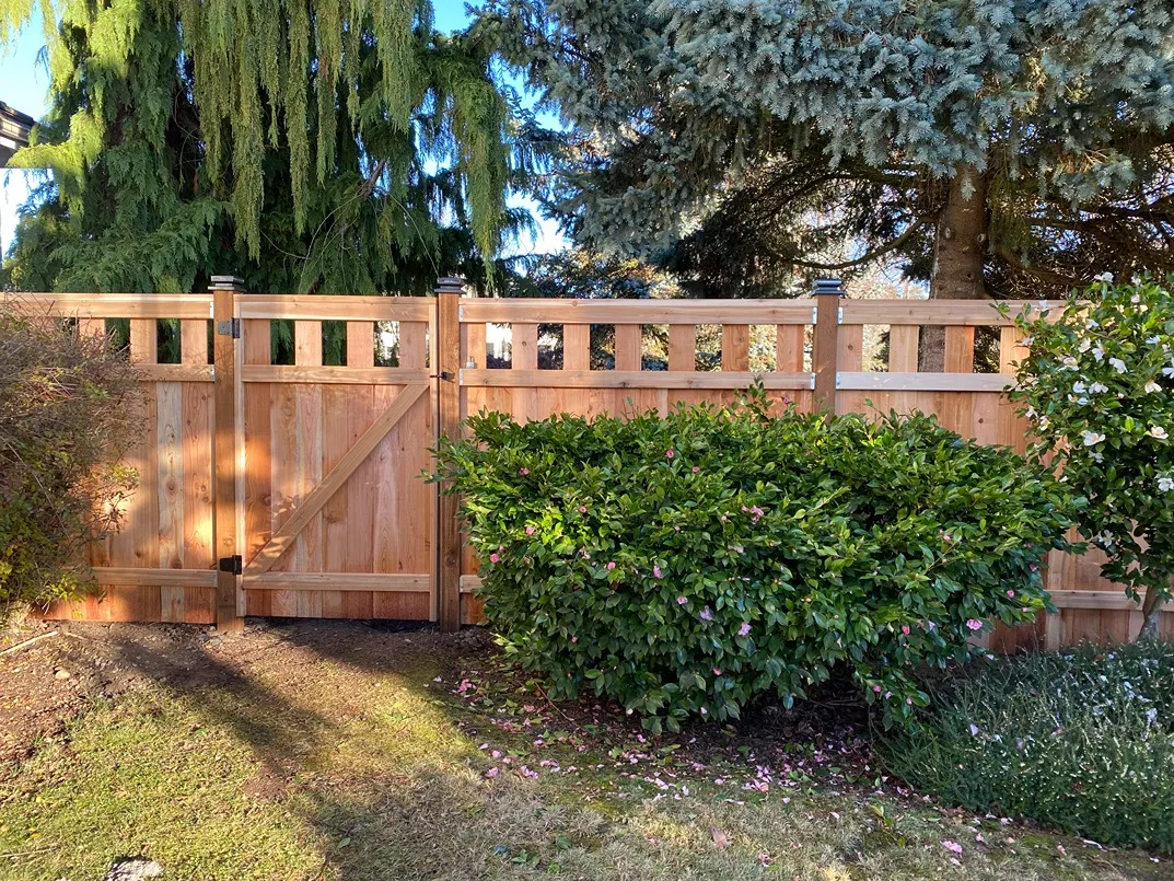 Lexington fence with a matching cedar gate next to garden shrubs in Snohomish County