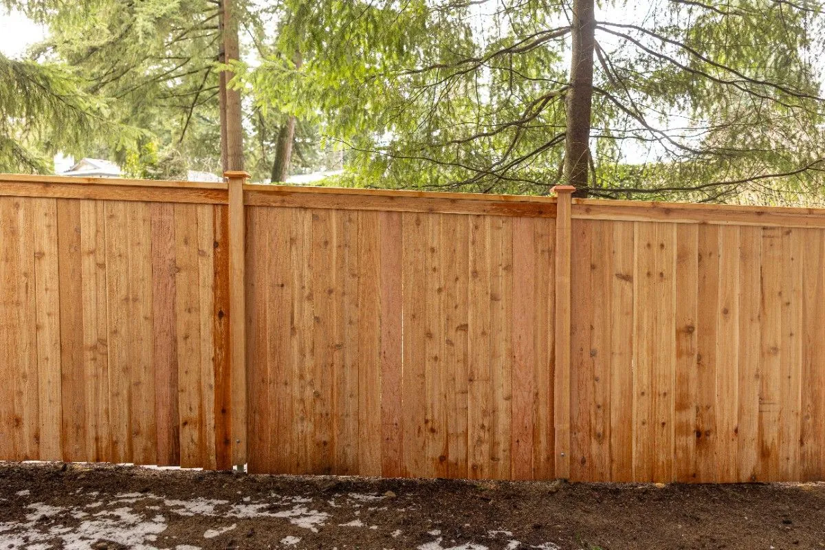 Cedar Lexington fence with trim detail marking a Seattle backyard boundary
