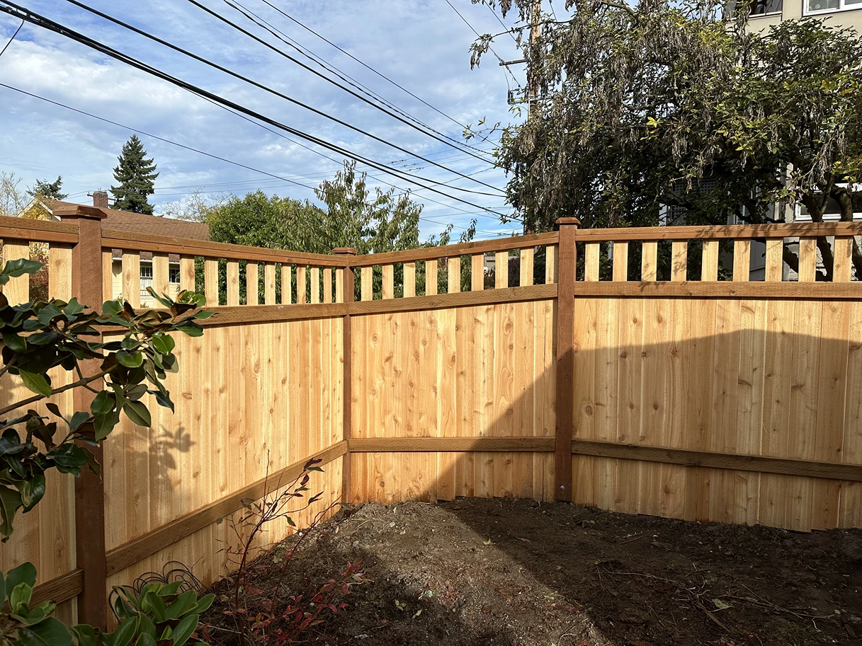 Wooden fence corner in a yard with some plants and clear sky with power lines overhead.
