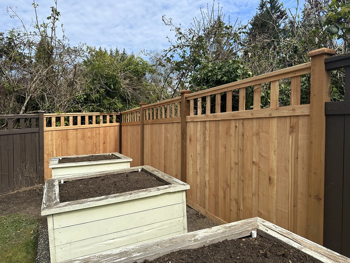 Three empty white raised garden beds with soil next to a tall wooden fence outdoors.