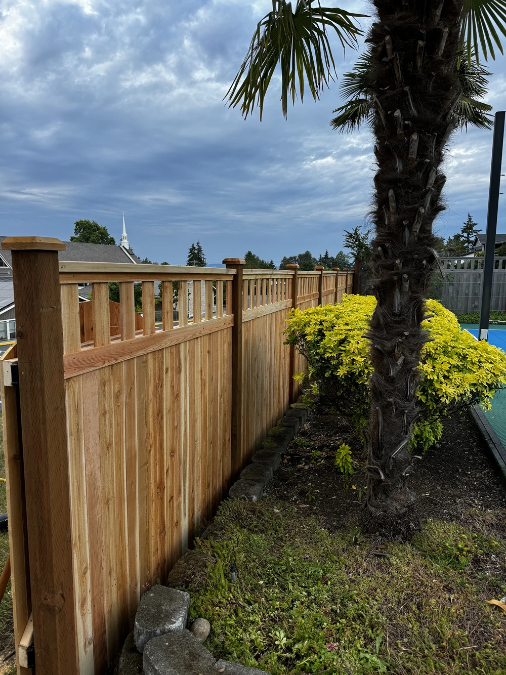 Wooden fence alongside a garden with a palm tree and yellow bushes under a cloudy sky.