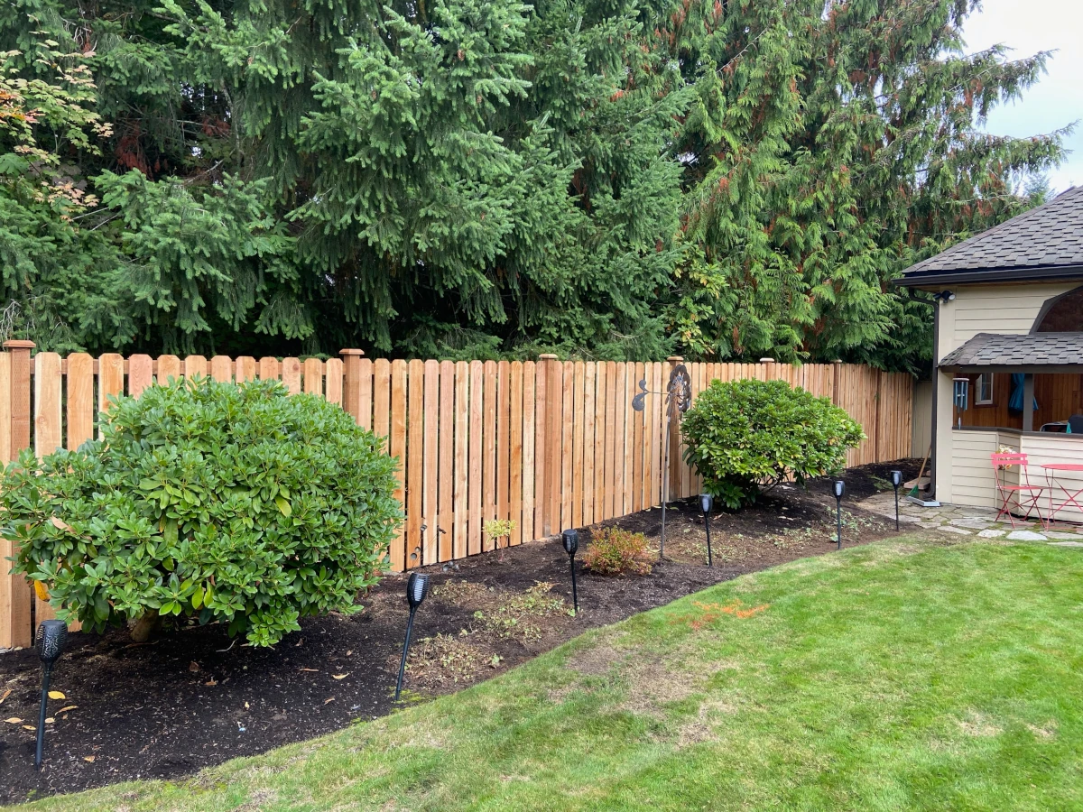 Tall cedar dog-ear picket fence lining a landscaped backyard bed with rhododendrons and path lights