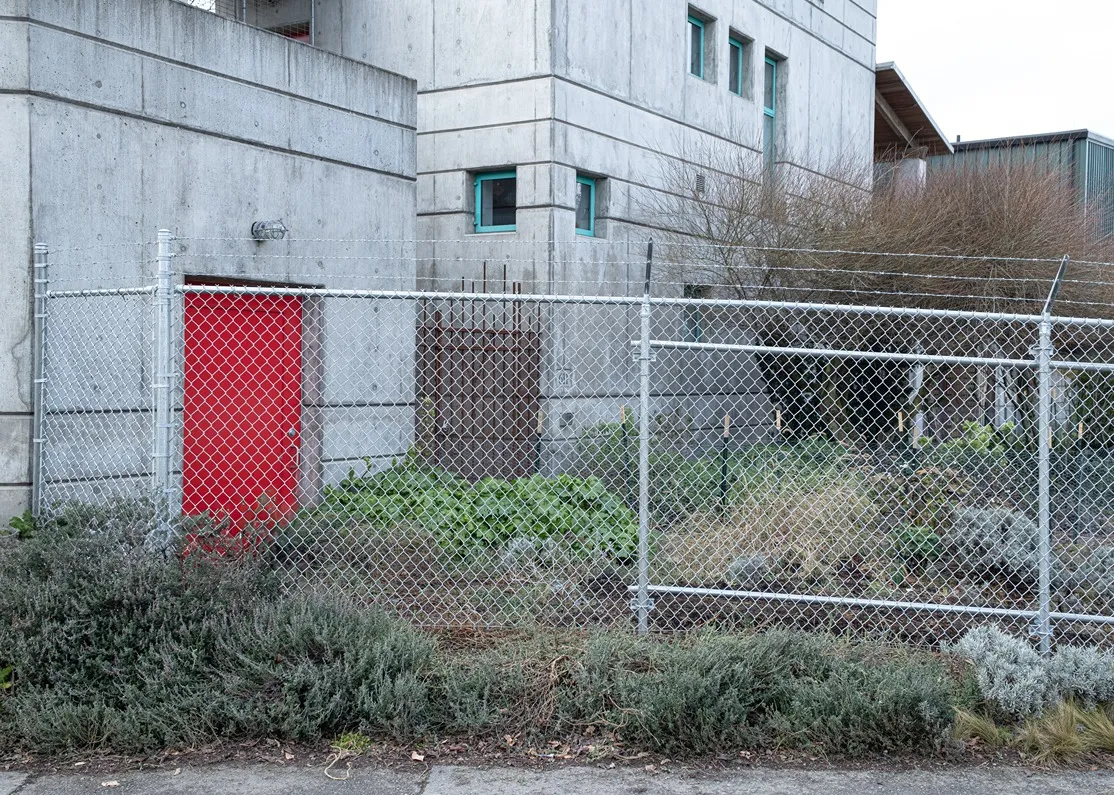 Security chain link fencing with diamond mesh and vinyl coating protecting a Seattle commercial property boundary