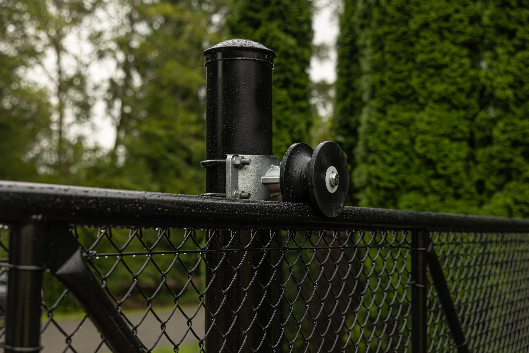Color-coated chain link fence along a residential property line in the greater Seattle area