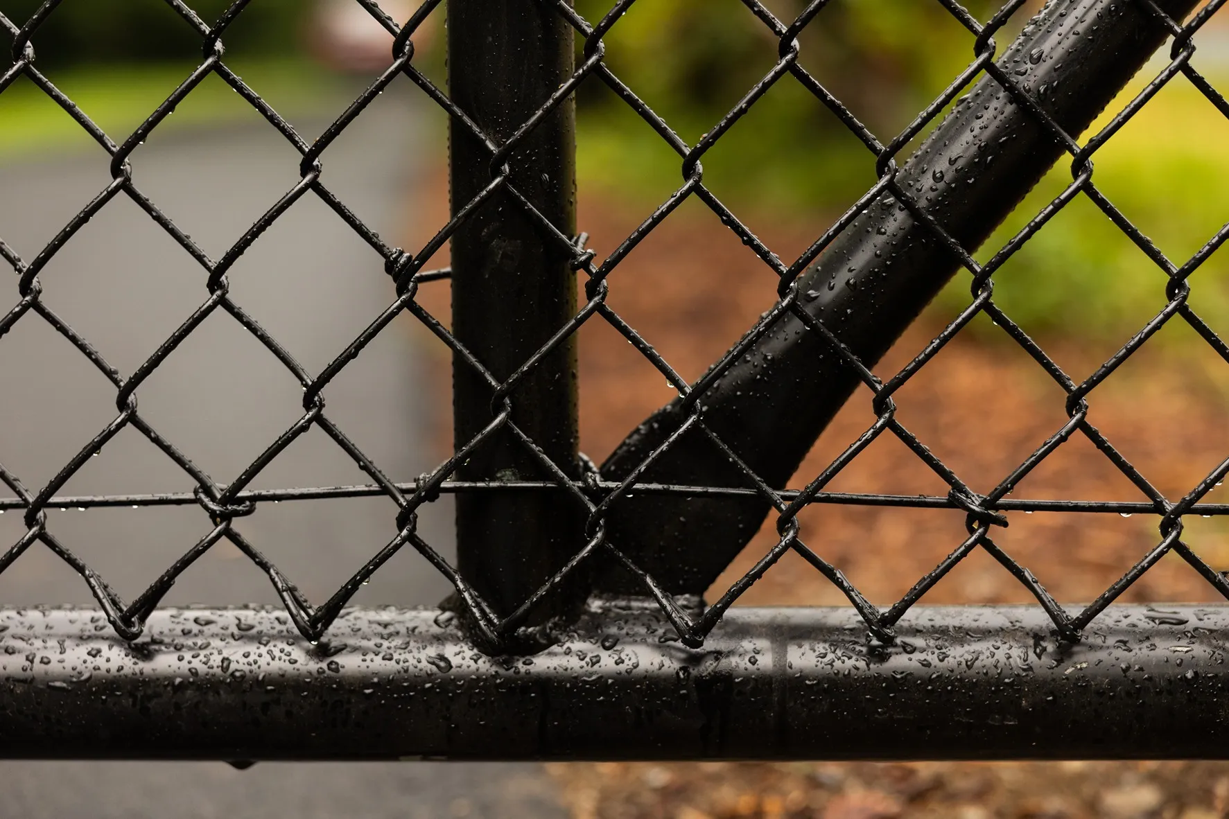 Rare Bears Fencing crew installing a chain link fence at a Seattle home