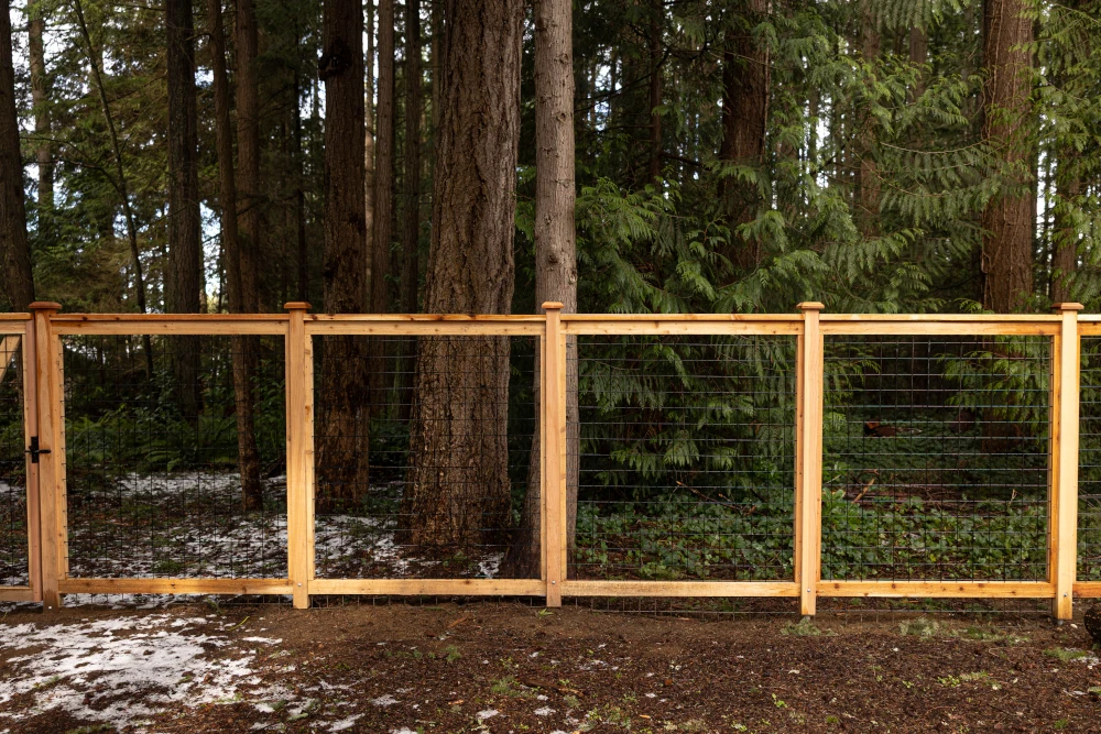 Cedar-framed hog wire fence panels with post caps, welded steel mesh, and ferns visible through the grid