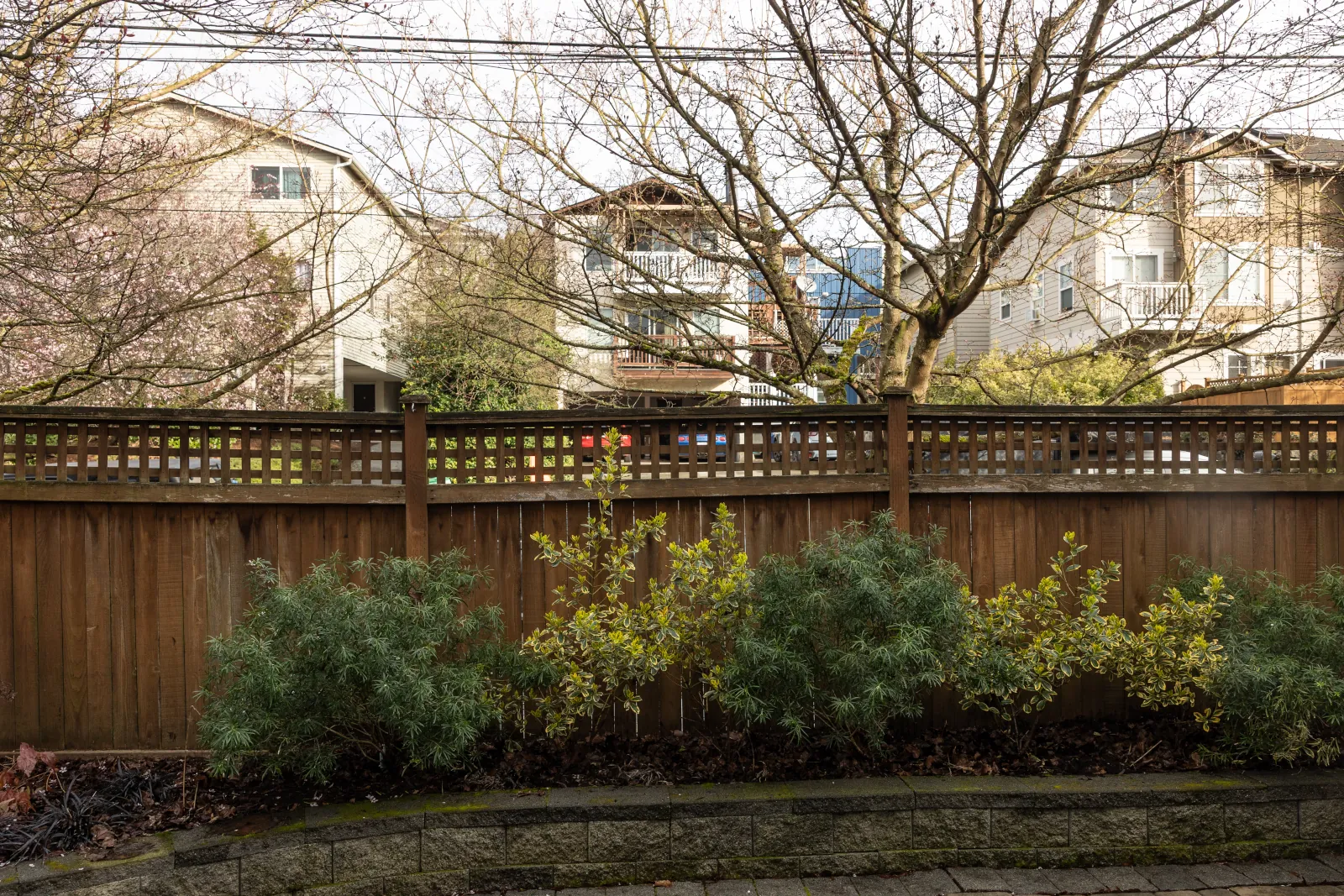 Dark weathered wood fence with square lattice top behind a row of shrubs