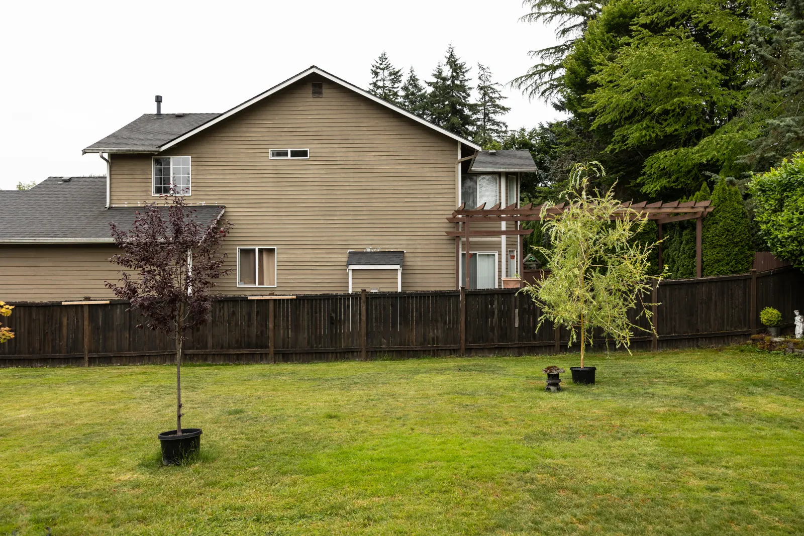 Dark weathered fence along a wide back lawn with potted trees and a pergola