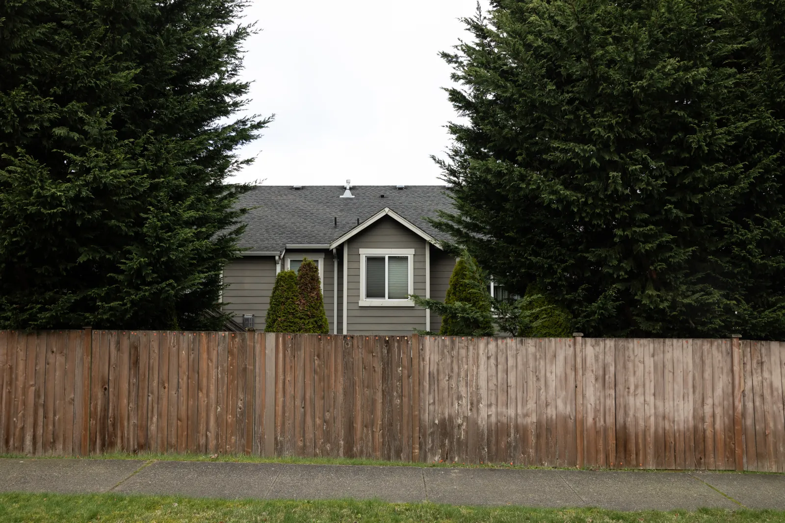 Weathered brown fence along a sidewalk in front of a gray house and tall cedars