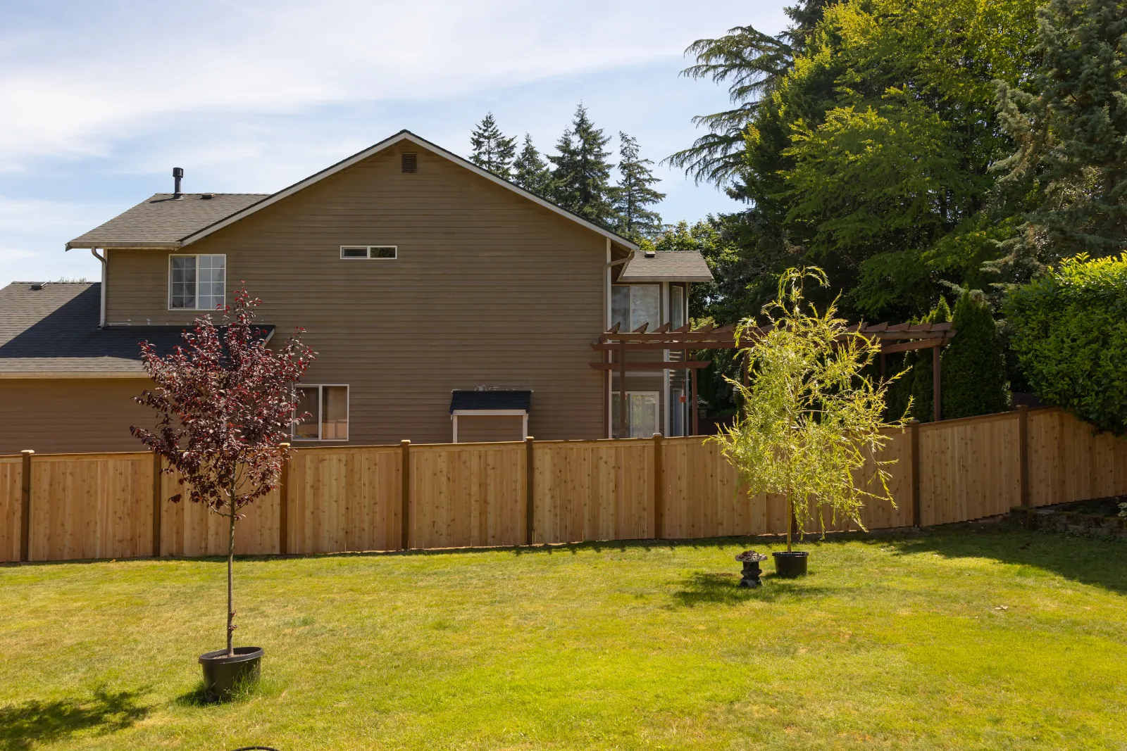 New cedar privacy fence along a wide back lawn with potted trees and a pergola