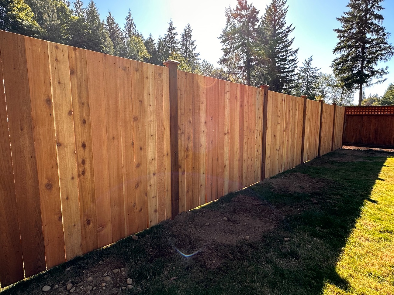 Monroe Black Hog Wire Fence for Open Views and Pet Safety