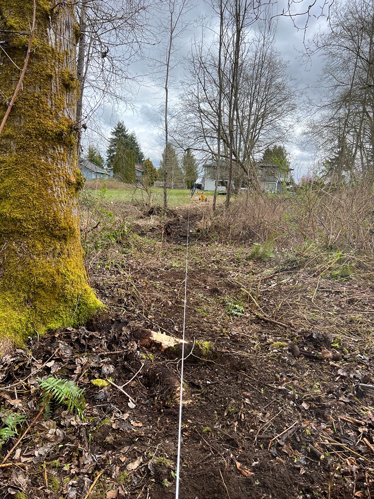 Before Black Chain Link Fence Adds Safety to Large Snohomish Yard
