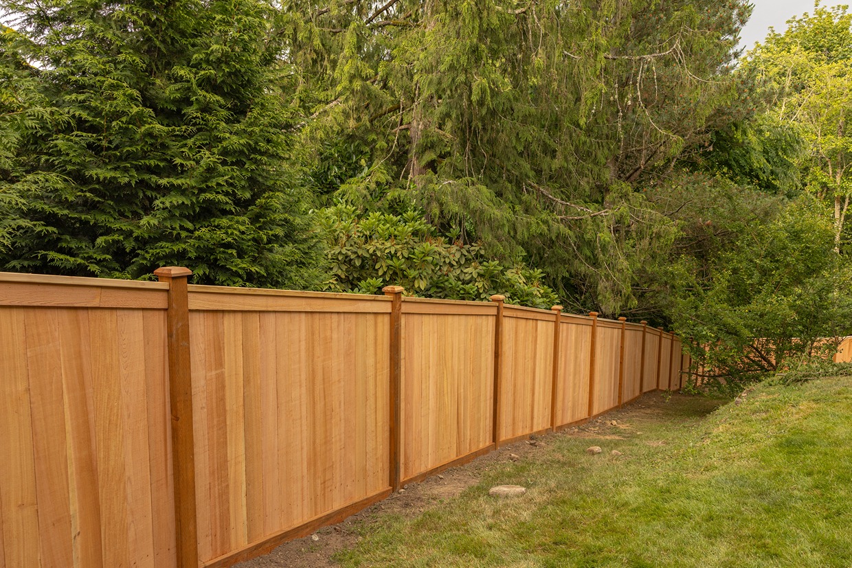 Full-panel cedar privacy fence beside trees