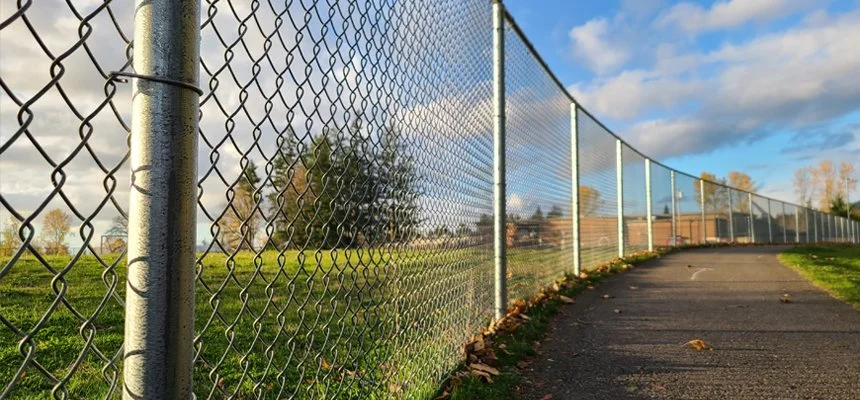 Chain link fence beside the road