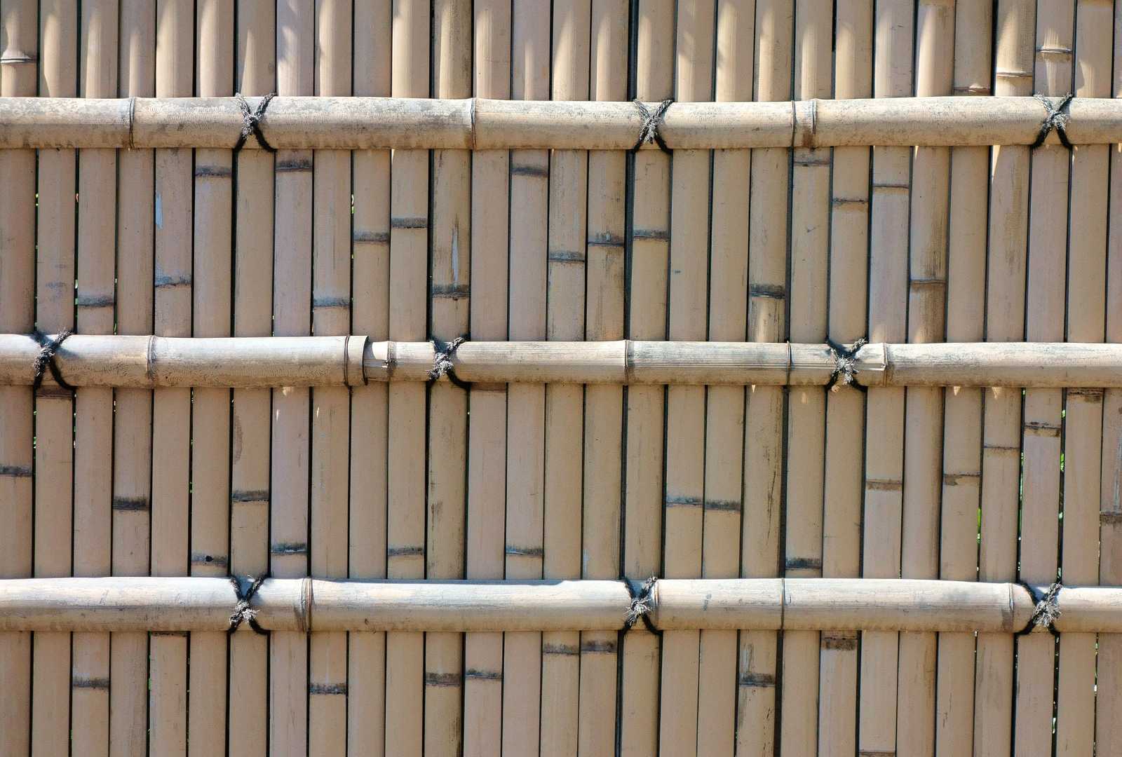 bamboo fence