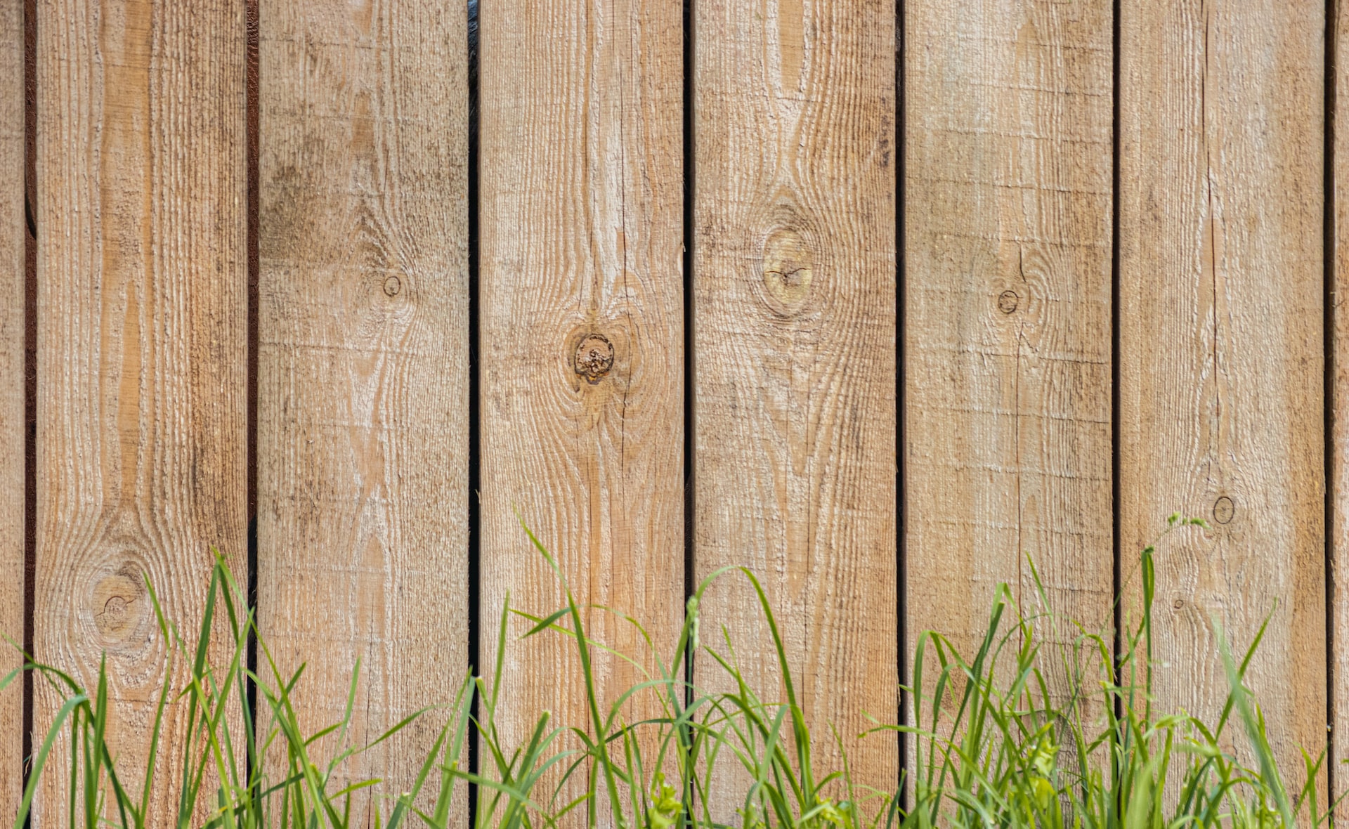 wooden fence