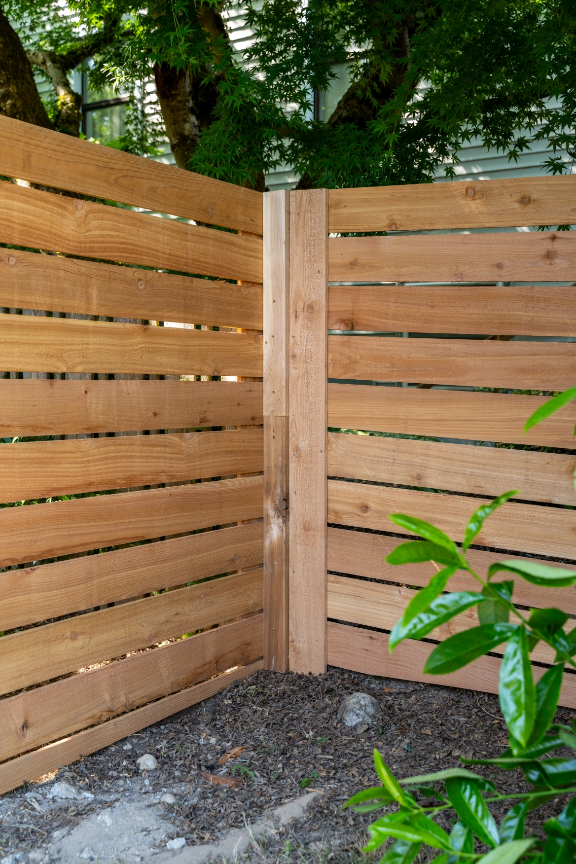 Close-up of horizontal cedar fence boards with clean modern spacing