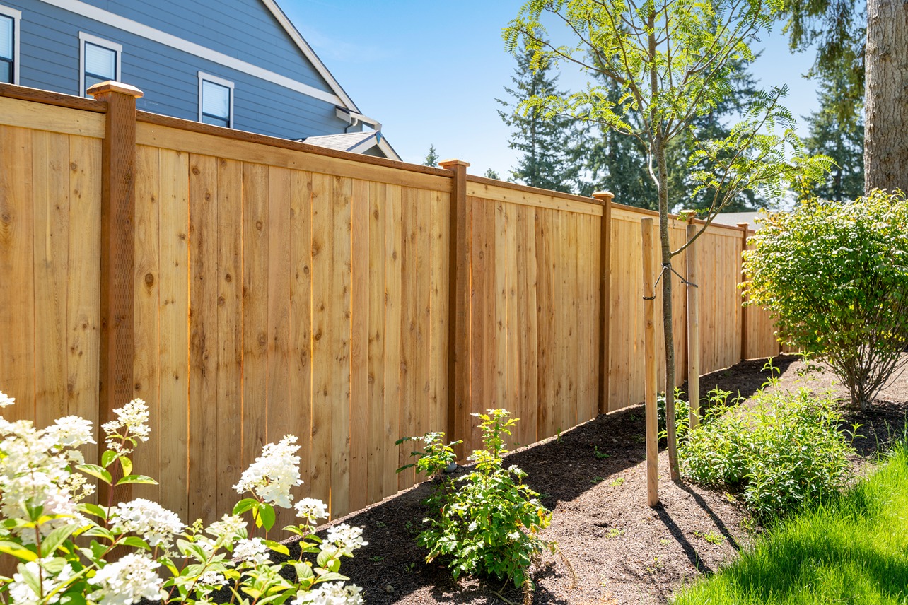 A pressure-treated pine fence enclosing a garden during a hot summer day