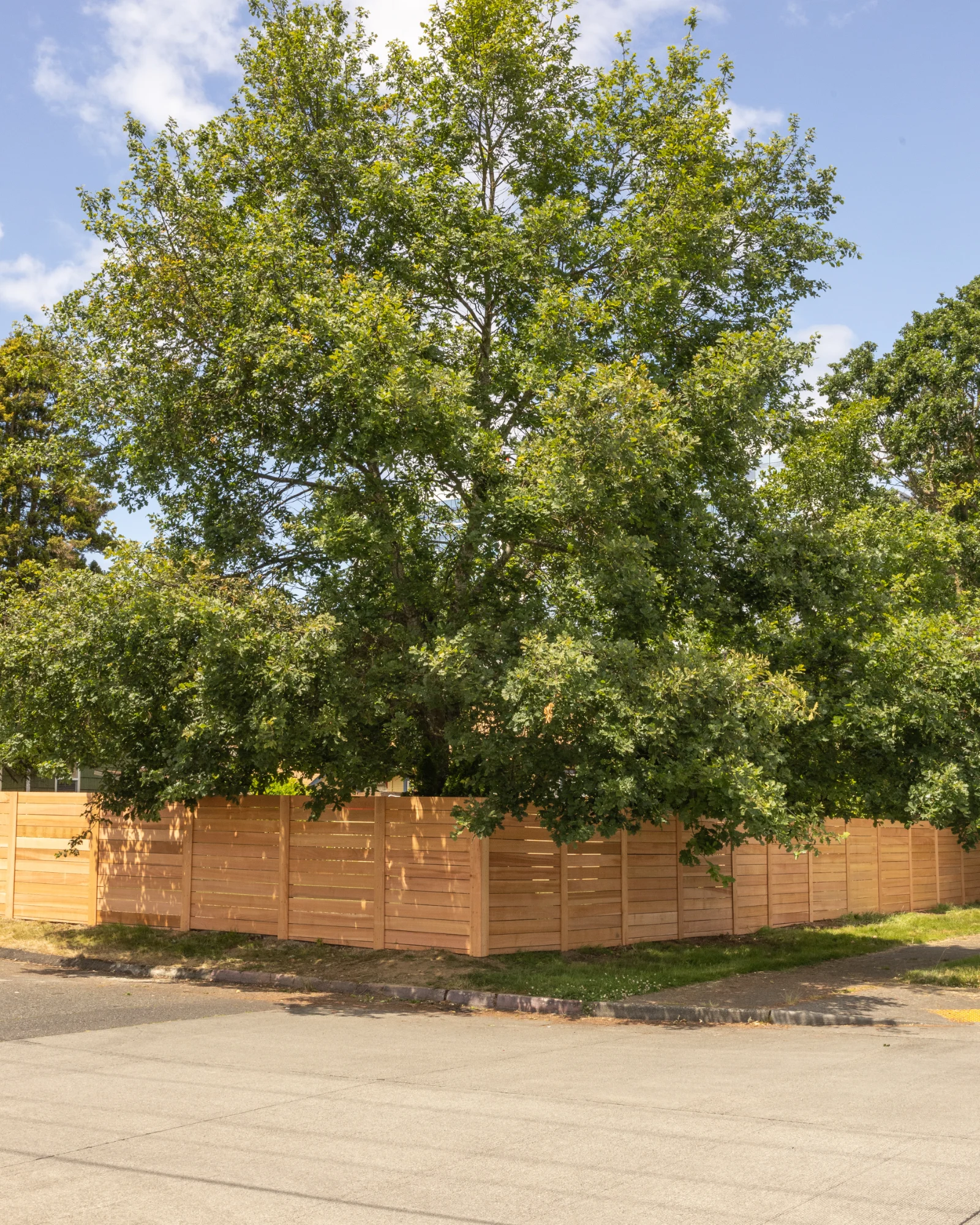 Outdoor cedar fencing backyard