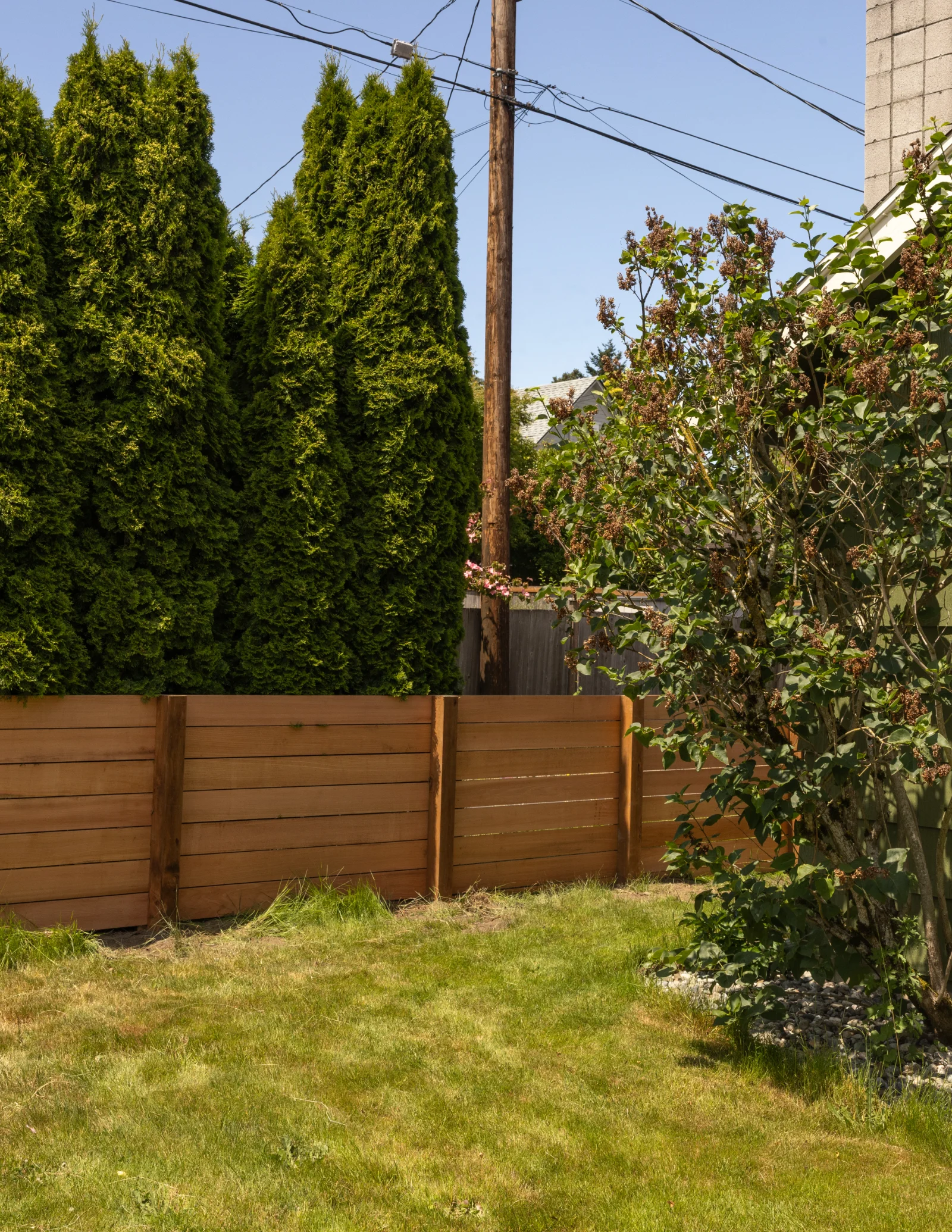 Backyard fencing project Everett WA