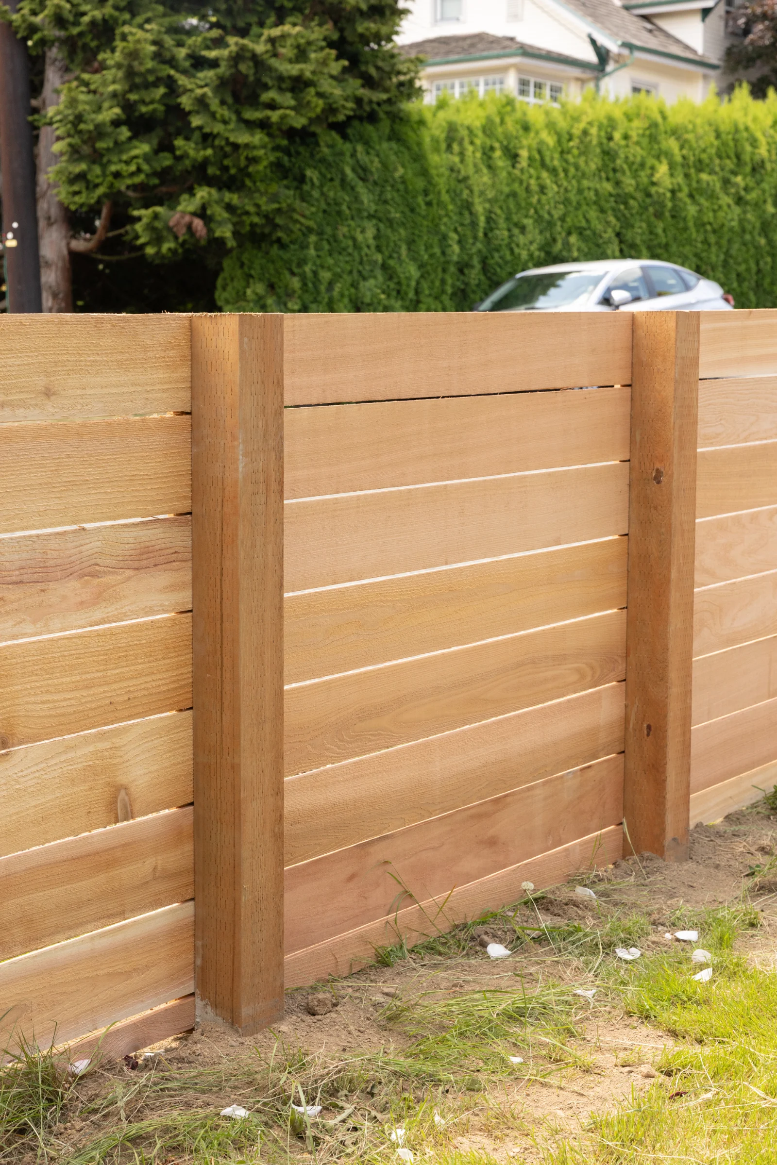 Cedar fence with dual gate