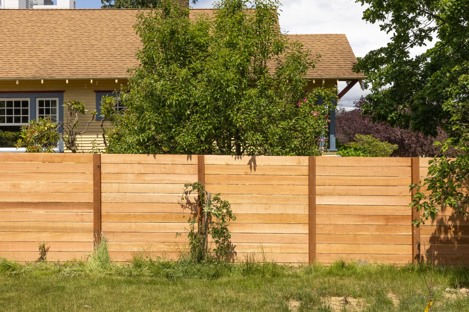 Western Red Cedar horizontal fence Everett WA