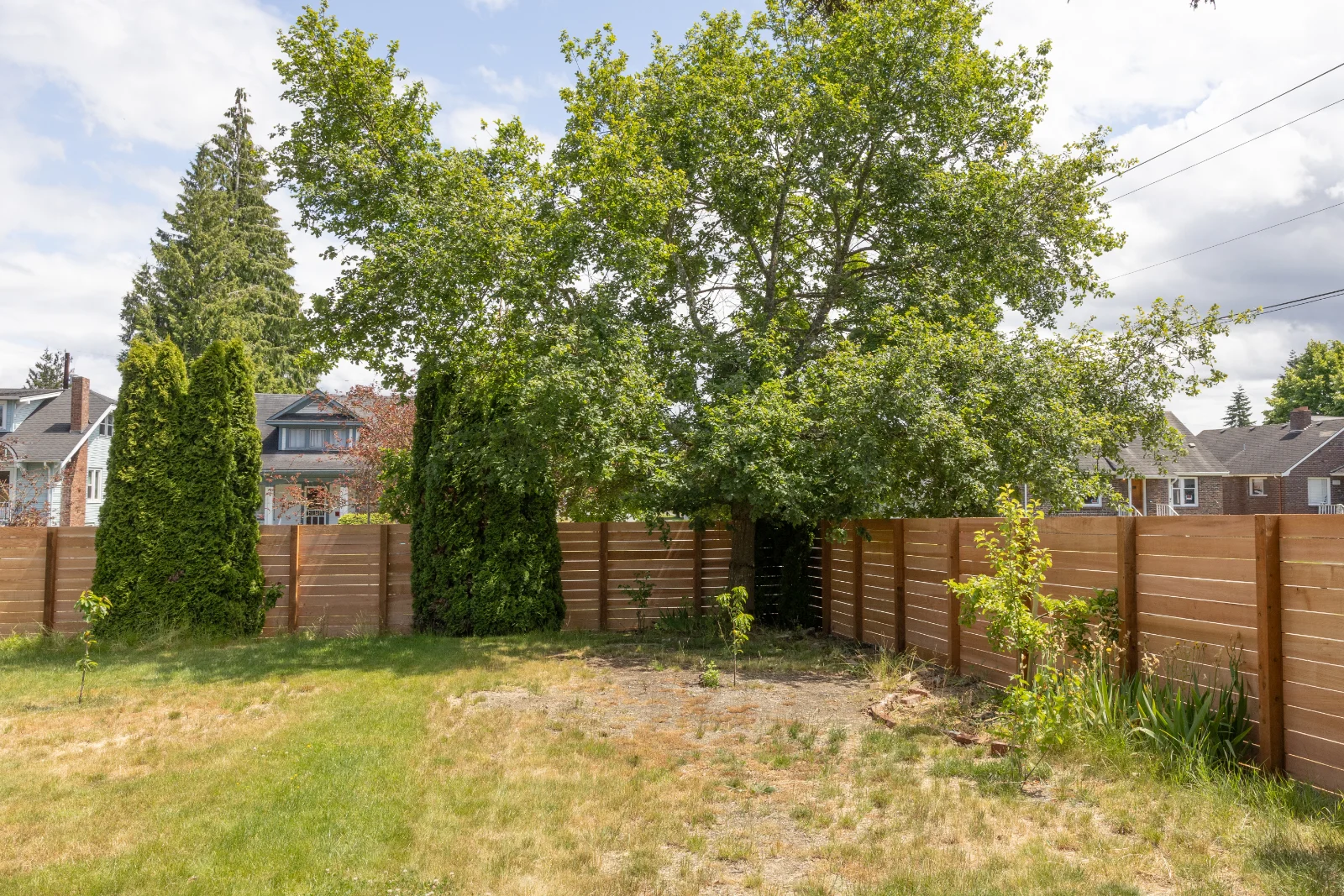 Durable cedar fence for yard