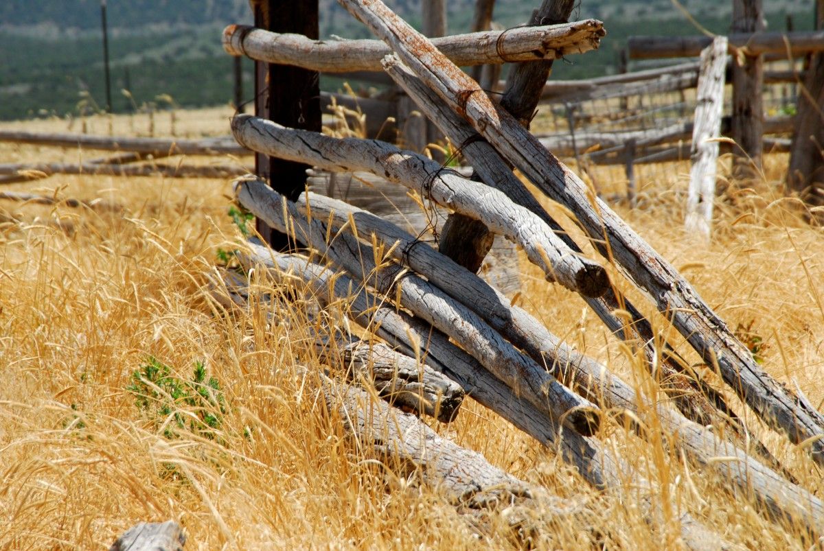 Property line fence disputes Washington state quick reference