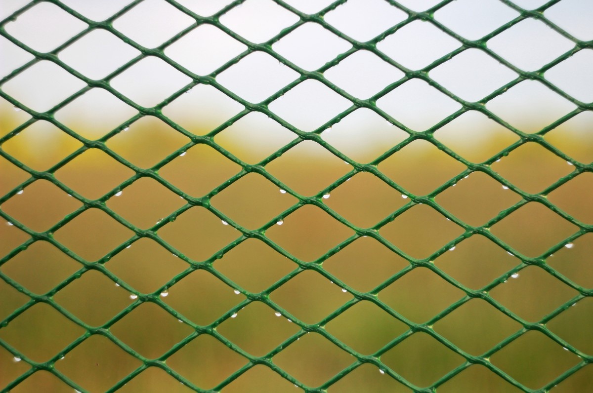 Rain-soaked commercial chain link fence wet from Pacific Northwest rainfall