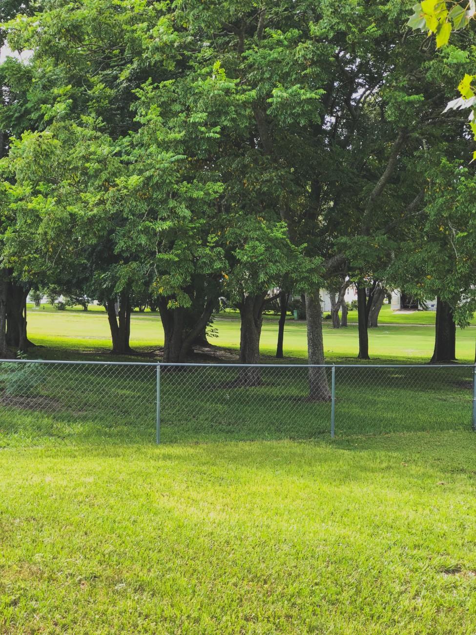 Chain link fence bordering a grassy Seattle backyard with mature trees